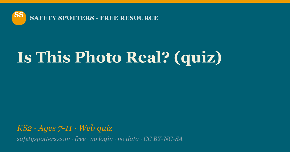 Is This Photo Real? (quiz) — Safety Spotters